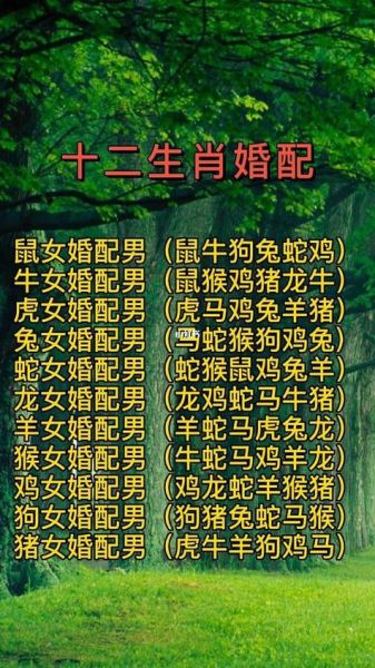 属相猴与什么生肖相合（猴和什么生肖最配？6个速查答案）