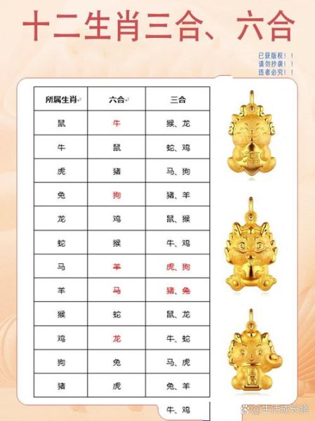 家庭生肖合财的属相（家庭生肖合财的属相配对指南）