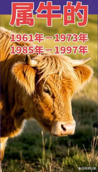 1901属什么生肖属相（1901年出生的生肖是什么🐂）