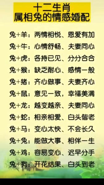 生肖兔今年属相婚配