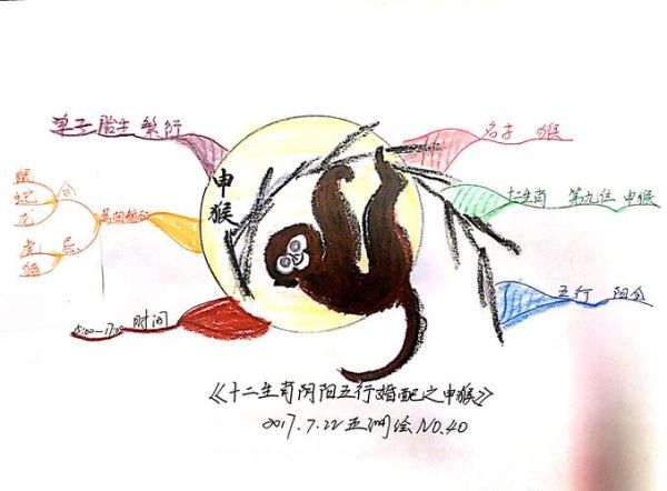 生肖属相思维导图(生肖属相思维导图怎么画最实用)
