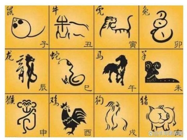 1017年属什么生肖属相（1017年属什么生肖？小白一看就懂）