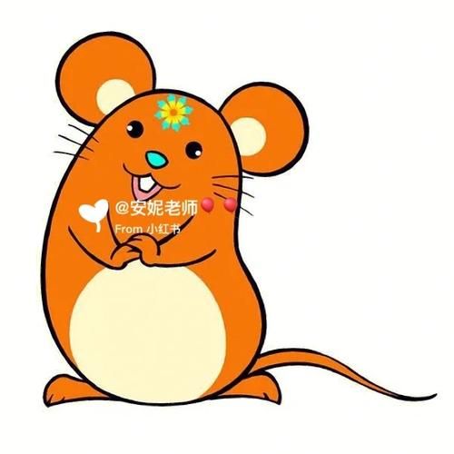 安妮属什么属相生肖（安妮属什么生肖？新手一查就懂）