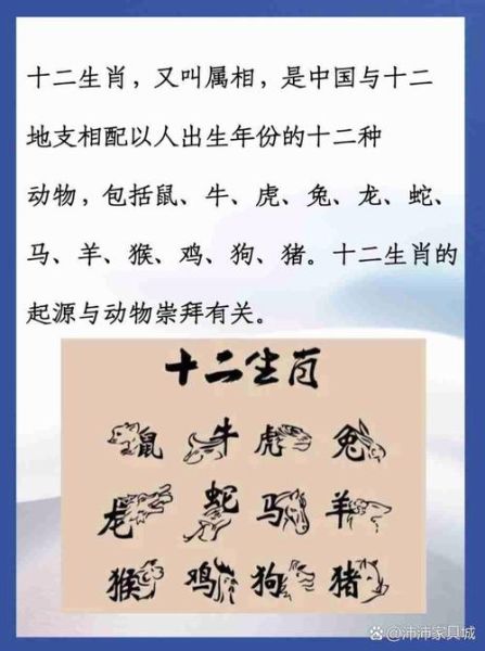 生肖属相图案是什么（生肖十二年动物图案及寓意）