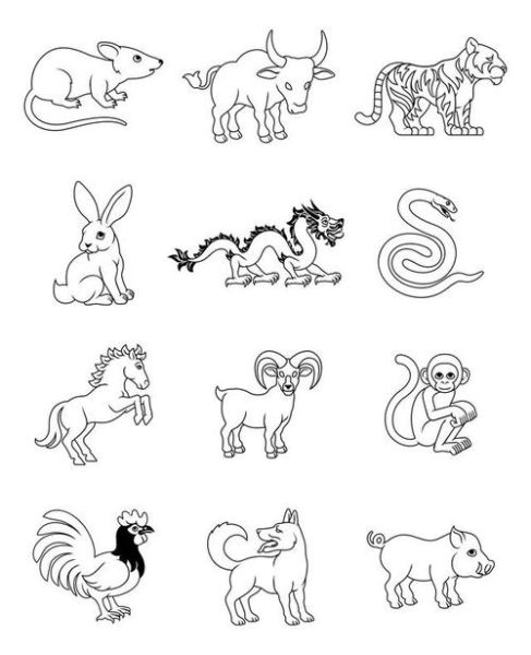 儿童生肖属相画图（儿童十二生肖简笔画步骤图）