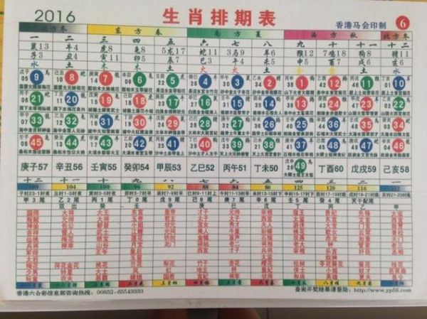 明日生肖属什么生肖属相（明日生肖属什么生肖属相查询）