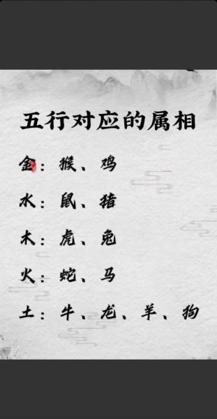 十二生肖与贵属相（2024年十二生肖贵属相是什么）