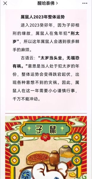 属相鼠生肖一生运程（属鼠人一辈子运势怎样🤔）